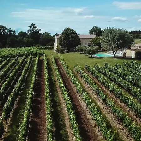 Domaine De Saint-amand Au Coeur Des Vignes Pres De Bordeaux *